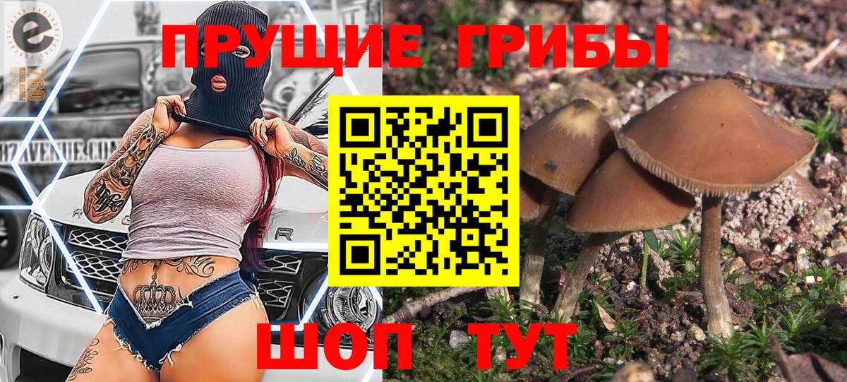 Псилоцибиновые грибы Magic Shrooms  Вход с VPN  Галлюциногенные грибы Magic Shrooms  Шахты 